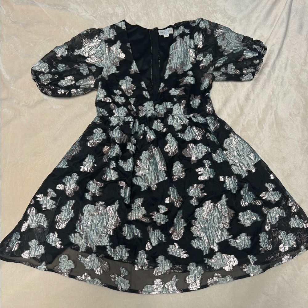 Francesca’s Dress
